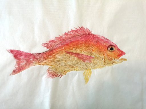 Vivaneau 40x30 acrylique et or urachi à la commande 120€