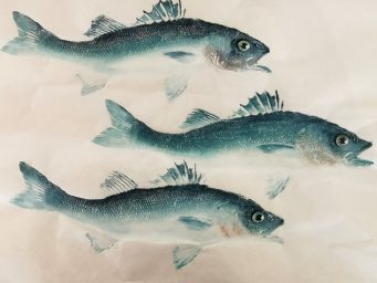 Gyotaku