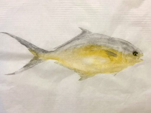Carangue 50x30 acrylique urachi à la commande 150€