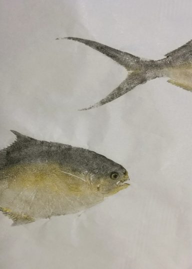 Carangue 30x40 acrylique urachi à la commande 120€ 