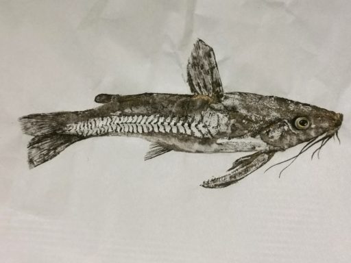 Poisson gôret 40x25 encre de chine et or Urachi à la commande 80 €